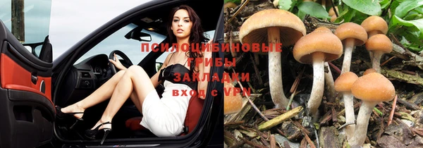 прущий лед Алексин