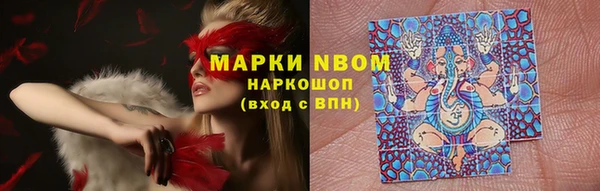 амф Алзамай