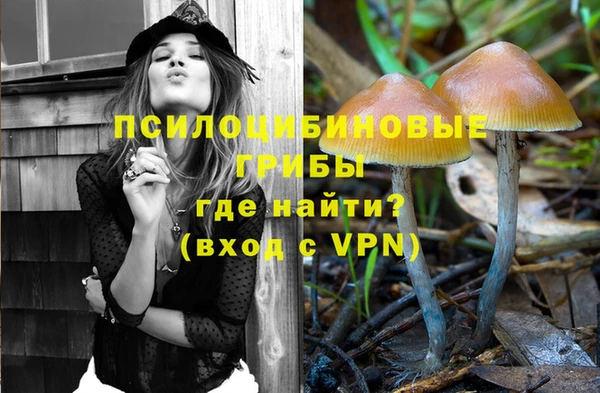 прущий лед Алексин