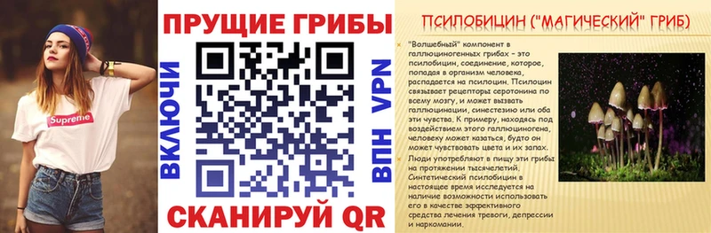 Псилоцибиновые грибы Psilocybine cubensis Макушино